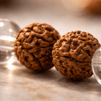 Rudraksha & Clear Quartz Bead Bracelet - Karma & Peace